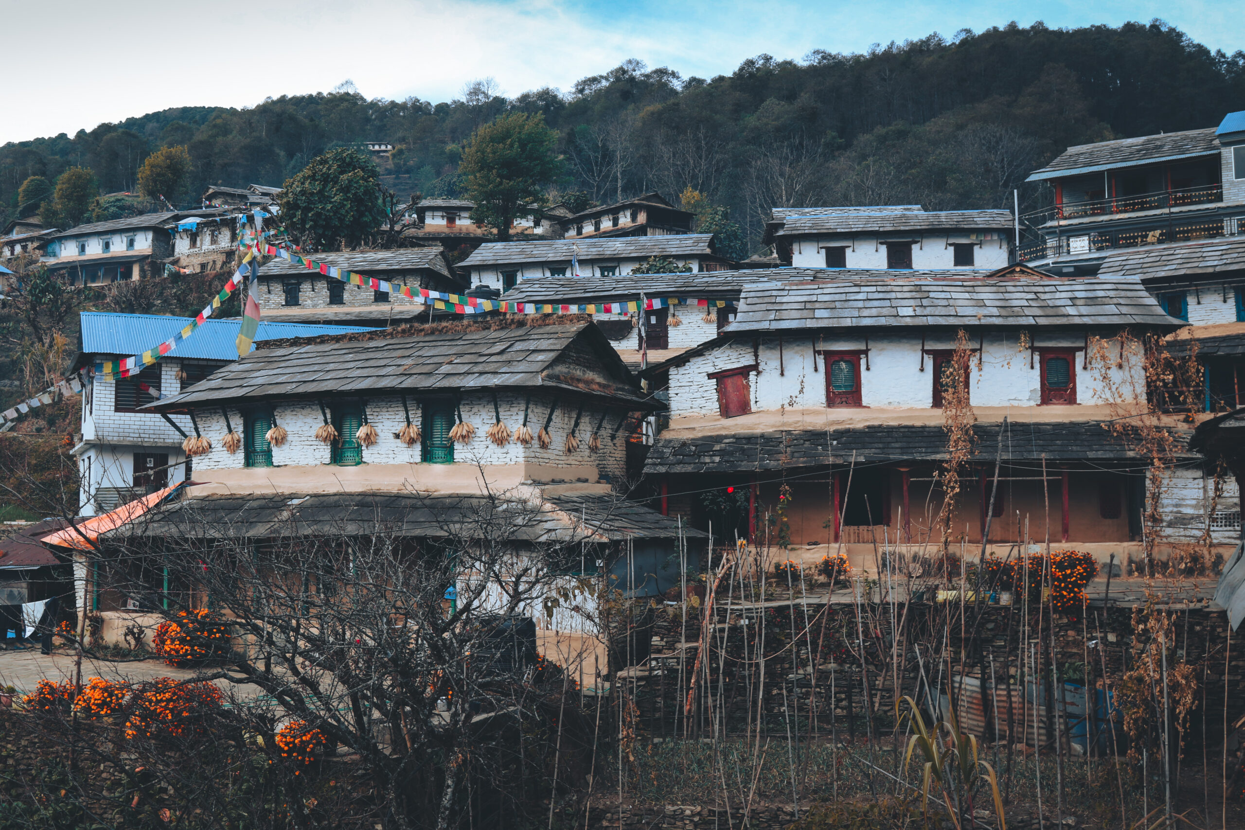 mountain village country life pokhara nepal scaled